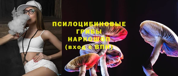 Альфа ПВП Инта