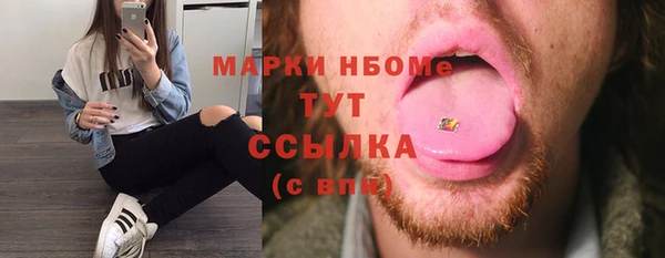 spice Инсар