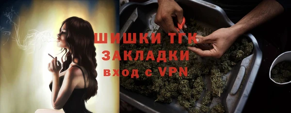 spice Инсар