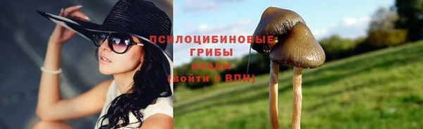 spice Инсар