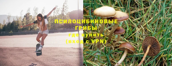 spice Инсар