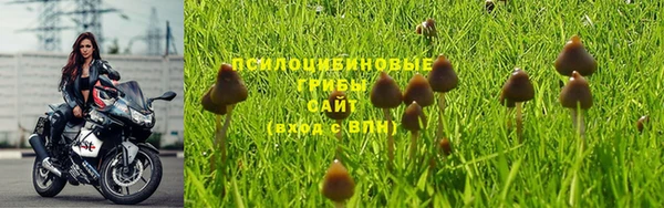 spice Инсар