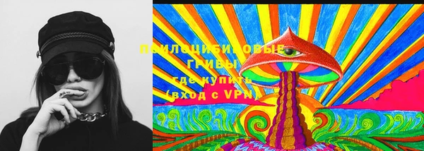 Альфа ПВП Инта