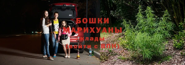 Альфа ПВП Инта