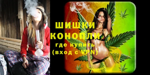 Альфа ПВП Инта