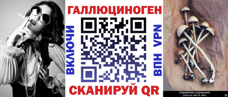Галлюциногенные грибы MAGIC MUSHROOMS  Купить где  Лихославль 